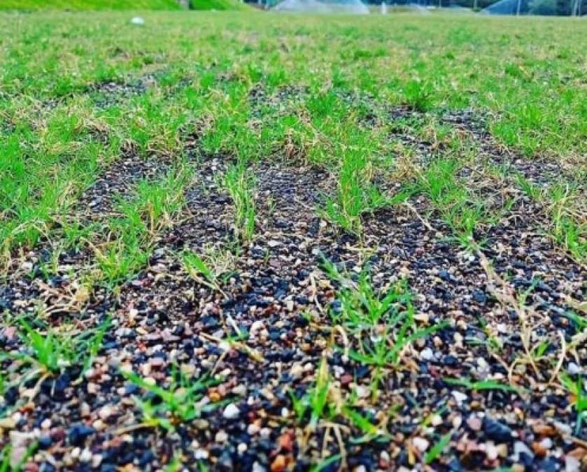 La cancha del Centro de Rendimiento José Rafael Ferrari será una de las mejores de Honduras.