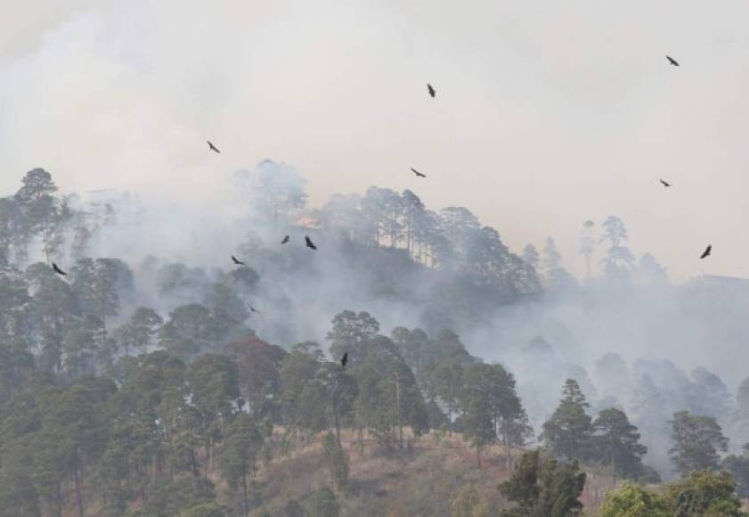 Dos cisternas de agua con capacidad de nueve mil litros fueron utilizadas por el Cuerpo de Bomberos.