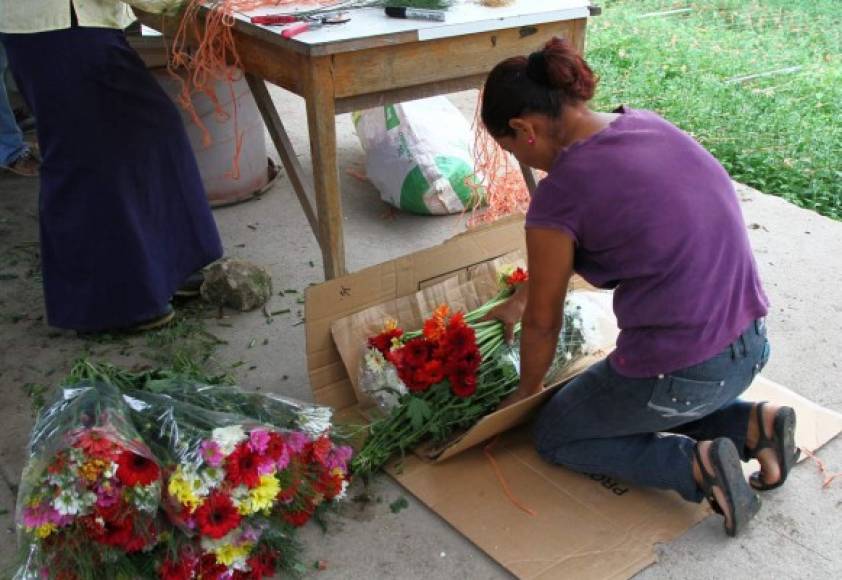 Muchos han encontrado en el cultivo de las flores un trabajo estable.