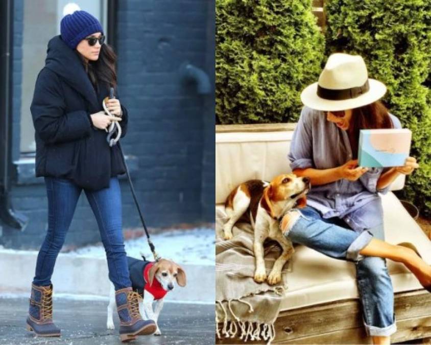 Otras personas se han enfocado en el perro, ya que Meghan Markle solo tiene a Guy, el beagle que trajo desde su antigua casa en Toronto, además de uno recién adoptado, que ,según fuentes, es un labrador negro llamado Oz, quien no ha sido fotografiado aún.<br/>