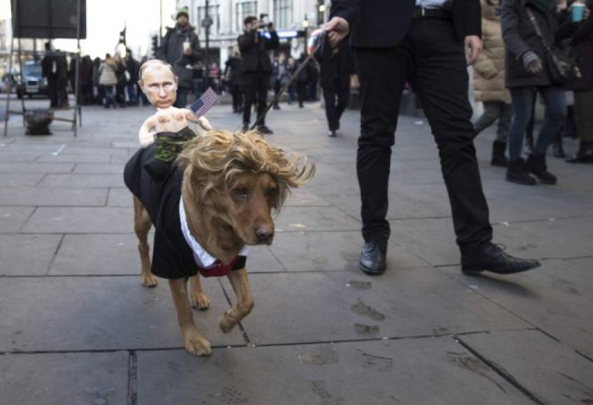 Un hombre se dirige a una manifestación delante de la embajada estadounidense junto a su perro disfrazado con una peluca y traje parecido al del presidente electo de Estados Unidos, Donald Trump, y con un muñeco con el rostro del presidente ruso, Vladímir Putin.
