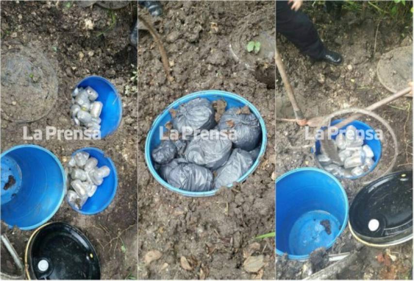 Cuatro barriles con paquetes de supuesta marihuana fueron encontrado en la colonia Esquipulas de Pimienta, Cortés, durante los allanamientos de la operación 'Tormenta de Fuego VII'.
