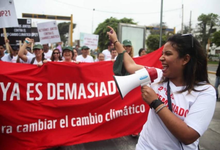Cientos de personas apoyaron el llamado en Lima, Perú.
