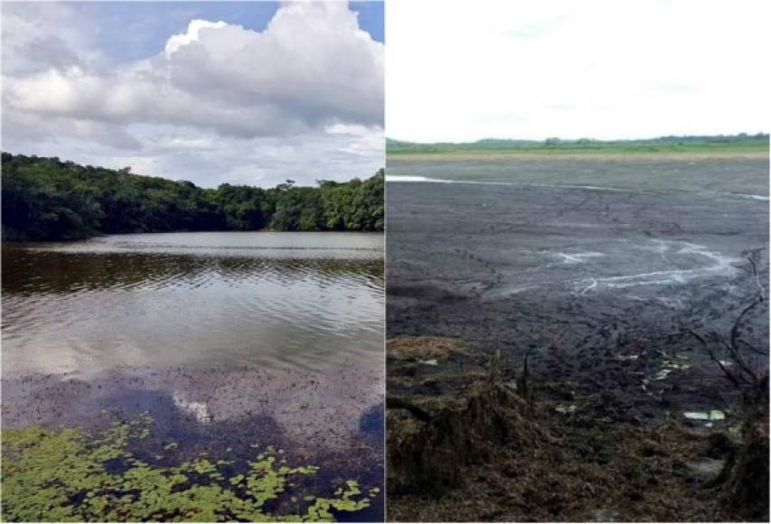 La laguna de Chakanbakán, ubicada en el estado mexicano de Quintana Roo, desapareció en menos de 24 horas tras la formación de varios socavones, informaron medios locales.