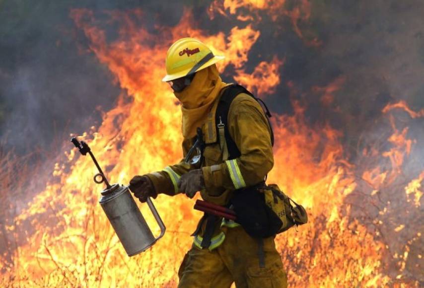Estados Unidos. Un bombero se suma a las labores para controlar un incendio cerca de Clearlake, California. Cerca de 3,000 bomberos luchan contra el fuego que ha quemado más de 60,000 hectáreas y ha obligado a la evacuación de 12,000 residentes en el condado de Lake.