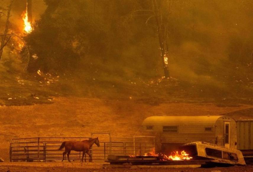 Según Cal Fire, el incendio de Hennessey fue causado por un rayo durante las tormentas que azotaron el Área de la Bahía el lunes.