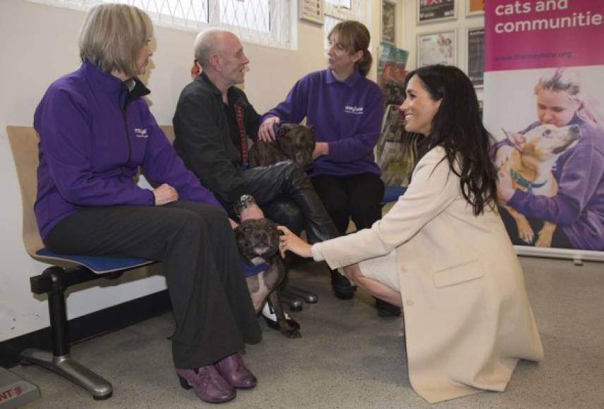 Se dice que Harry y Meghan adoptaron a un labrador negro poco después de su boda.