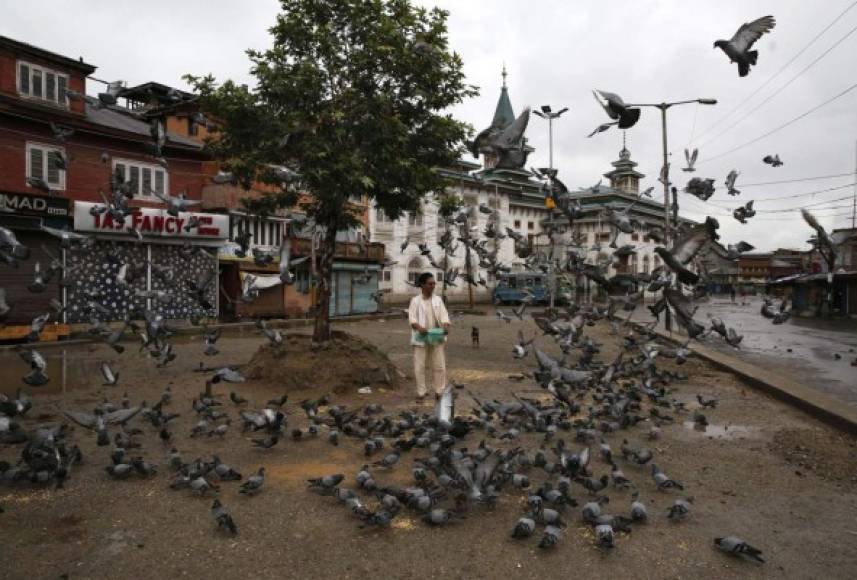 INDIA. Amaritano en el conflicto. Un hombre da de comer a las palomas durante el toque de queda en el centro de Srinagar, capital de verano de Cachemira,