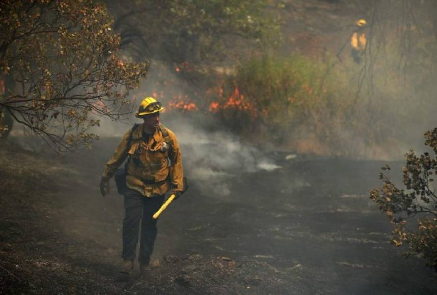 Según Cal Fire, 517 estructuras (casas y edificios) quedaron destruidas y otras 135 dañadas a causa de este incendio, iniciado el pasado 23 de julio por una 'falla mecánica en un vehículo' y que para el jueves propagó sus llamas hacia el oeste de Redding.