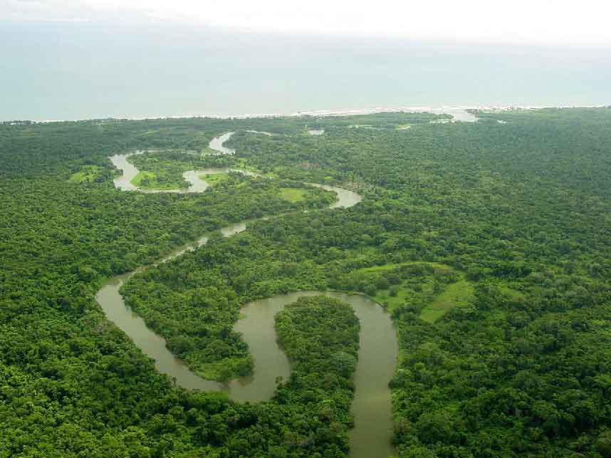 $!El departamento de Gracias a Dios se caracteriza por la extensa selva tropical, que alberga la reserva del río Plátano.