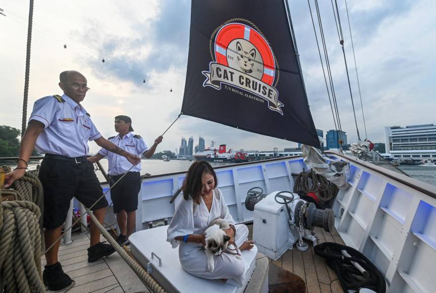 La compañía Tall Ship Adventures asegura que consultó a expertos y asociaciones de defensa de los animales para proporcionar la mejor experiencia posible a las mascotas. 