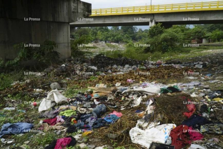 Biólogos de la Universidad Nacional Autónoma de Honduras en el Valle de Sula (Unah-vs) realizan monitoreos en los principales ríos. Los resultados no establecen cuánta basura van a tirar a esos lugares, sin embargo, indican que además del problema estético, el agua se estanca en los recipientes que muchos son elaborados con plástico, lo que produce criaderos de zancudos, causando enfermedades en los ciudadanos.