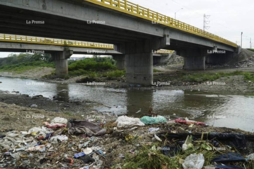 Las personas que viven en los bordos de San Pedro Sula ganan dinero recolectando basura que transportan en carretas, el destino final de los desechos sólidos son las riberas de los ríos sampedranos.