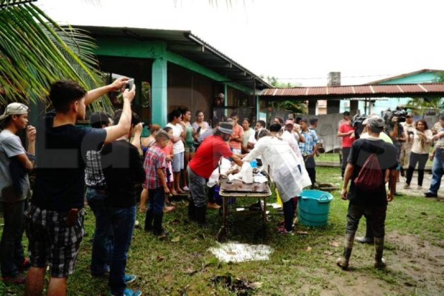 Las lluvias que azotan la zona costera del país cobraron en total la vida de seis personas, cinco de ellas soterradas este alud y otra más que pereció, en otro hecho, ahogada en el municipio de Omoa, Cortés.<br/>