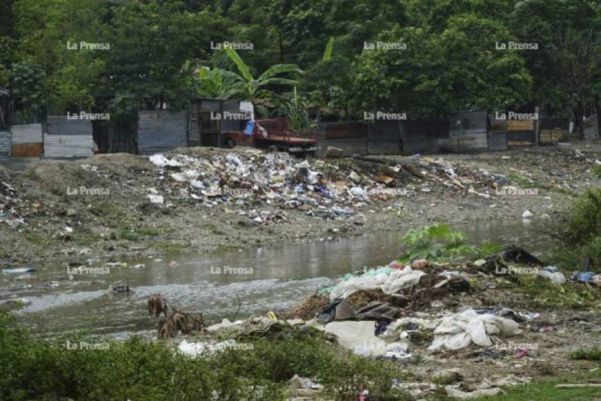 Periodistas de Diario LA PRENSA hicieron un recorrido por las orillas de los ríos de la ciudad, y en la mayoría se observan cerros de desperdicios de construcción, de comida, plástico y otros desechos del hogar. Hasta cadáveres de animales van a tirar, lo que causa que se desprendan olores fétidos.