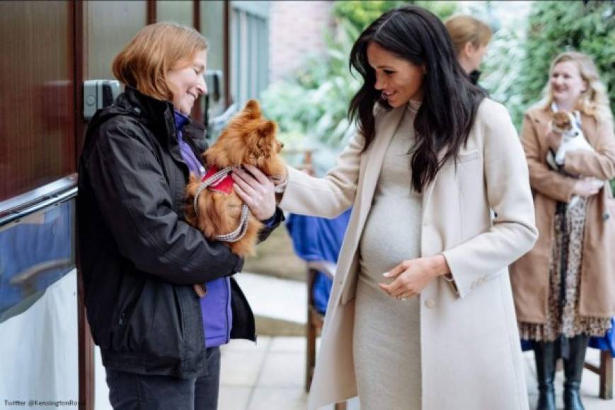 Este miércoles 16 de enero Meghan, que ronda en los seis meses de embarazo, visitó el refugio de animales que recién acogió entre sus patrocinios.<br/>