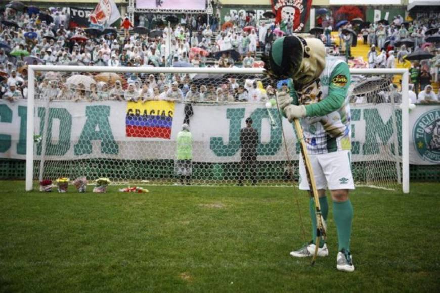 La mascota del Chapecoense, el 'Indio Madruga' baja la cabeza en señal de tristeza mientras aguarda la llegada de los restos del equipo al estadio.