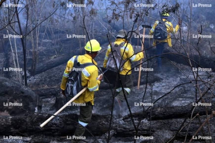 Personas trabajaron hasta altas horas de la noche para controlar el incendio y no continuaron por medidas de seguridad. 'El personal se retira tipo 8 pm y entran temprano al siguiente día para aprovechar el clima fresco', manifestó Zepeda.