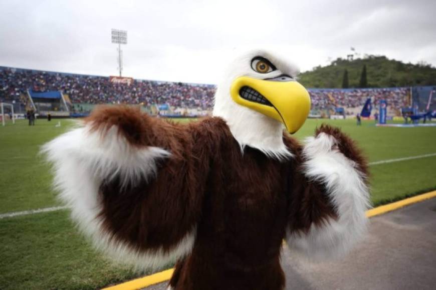 El Águila, la mascota del Motagua, no se ha perdido la gran final contra el Olimpia.