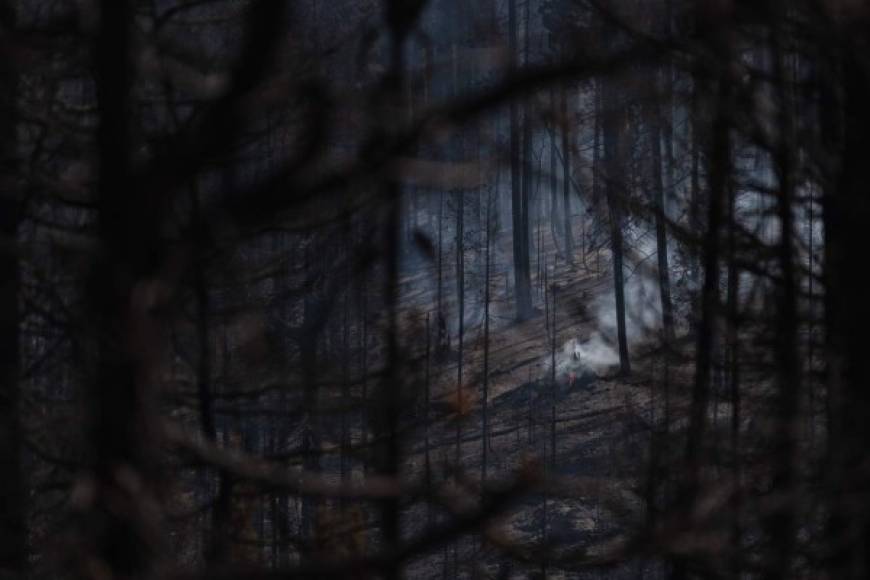 Casi 2,400 bomberos se encuentran trabajando en las tareas de extinción, y más de 2.000 personas permanecen evacuadas de la zona, donde las llamas han quemado 67 casas y otras 117 edificaciones.