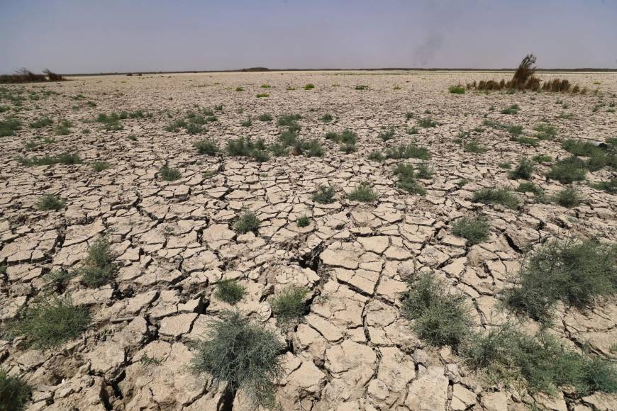 Sin embargo, entre agosto de 2020 y este mes, el 46% de los pantanales del sur de Irak, incluyendo Huwaizah y Chibayish, sufrieron pérdidas de agua en toda su superficie, según PAX, una organización holandesa de paz.