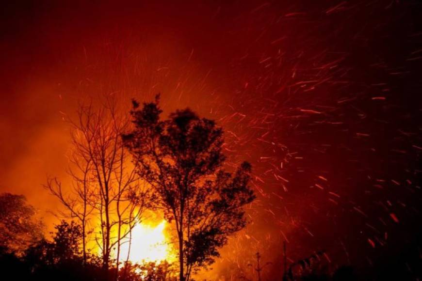Las imágenes de satélite muestran una capa de humo 'muy densa' sobre Jambi, especialmente en los terrenos de turbera, un suelo rico en carbono que emite grandes cantidades de gases contaminantes al quemarse y en el que se produce cerca de una tercera parte de los fuegos, indicó la Agencia.