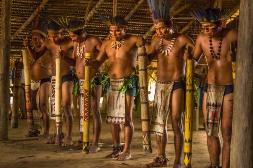 - 420 tribus indígenas y 86 lenguas<br/><br/>De acuerdo a datos de la OTCA, en la Amazonía viven unos 3 millones de indígenas, distribuidos en 420 tribus que hablan 86 lenguas diferentes y 650 dialectos.