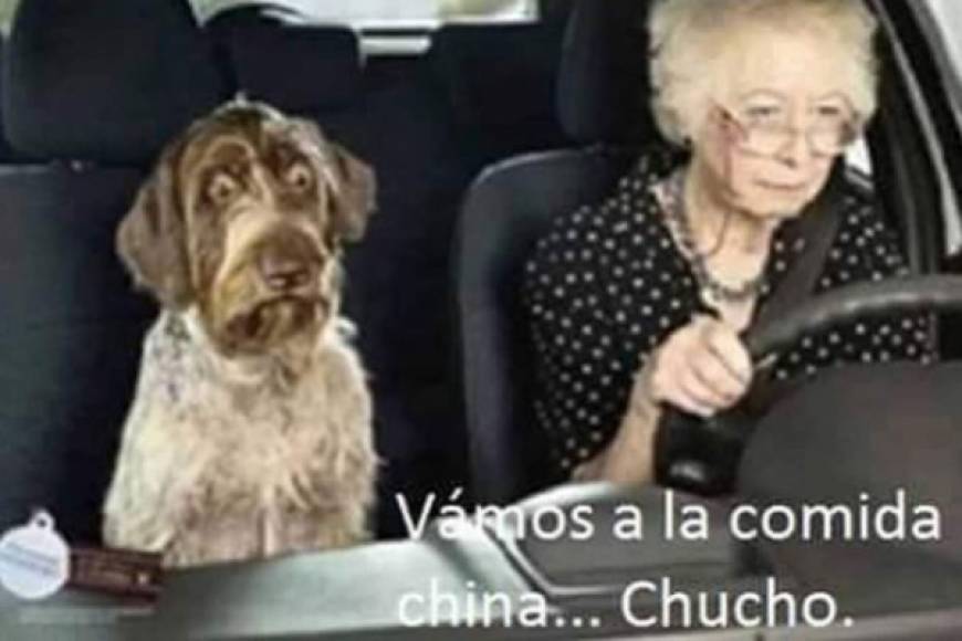 Tras las recientes noticias de la supuesta carne de perro en un restaurante de comida china en Tegucigalpa, un sin fin de usuarios en las redes se lo han tomado con humor.