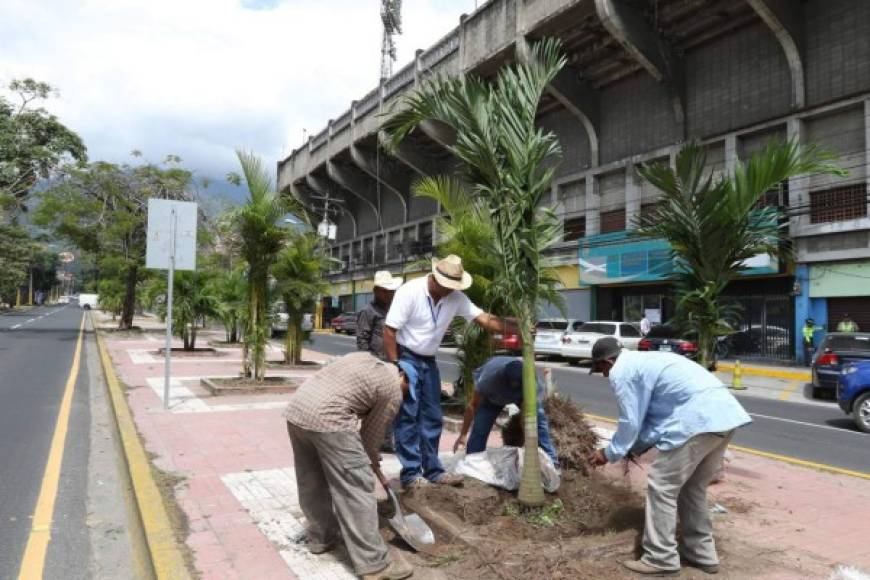 Los accesos al estadio Morazán han sido remodelados y se han sembrado plantas para que se mire mejor la fachada.