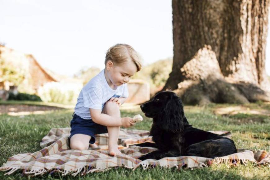 REALEZA. Tres años para el príncipe . El príncipe Jorge, primogénito de los duques Guillermo y Catalina de Cambridge, cumplió ayer tres años.