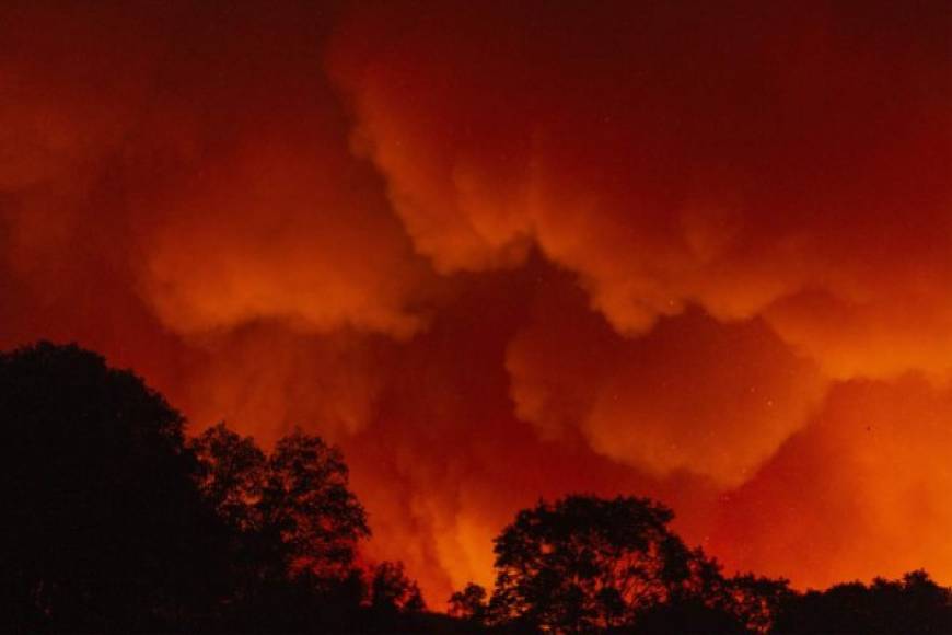 Al menos siete personas han muerto como resultado de los incendios de este año y unas 3.800 estructuras han sido dañadas o destruidas, según cifras de Cal Fire.