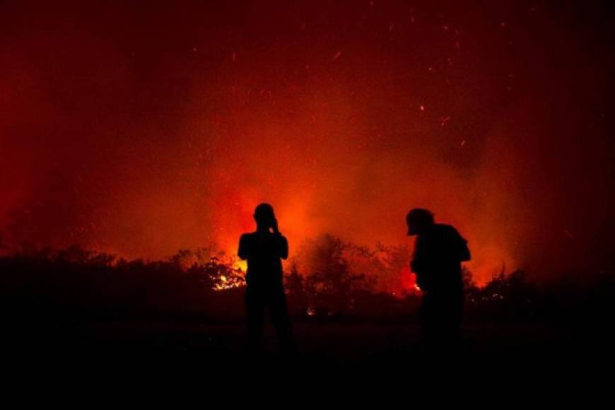Los incendios arrasaron más de 328,700 hectáreas en el país hasta septiembre, mes en el que se intensificaron los incendios y el humo, que ha alcanzado a Malasia y Singapur, obligó a cerrar miles de escuelas y cancelar cientos de vuelos.