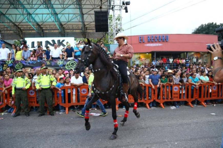 Desfile de caballos purasangres engalanó el desfile de carrozas de la Feria Juniana. Foto Franklin Muñoz