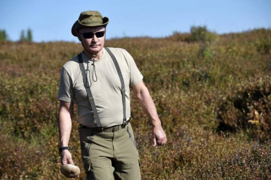 Vladimir Putin se escapó a los bosques de Siberia para tomarse un descanso tras una ajetreada gira que lo llevó a Austria y Alemania la semana pasada.