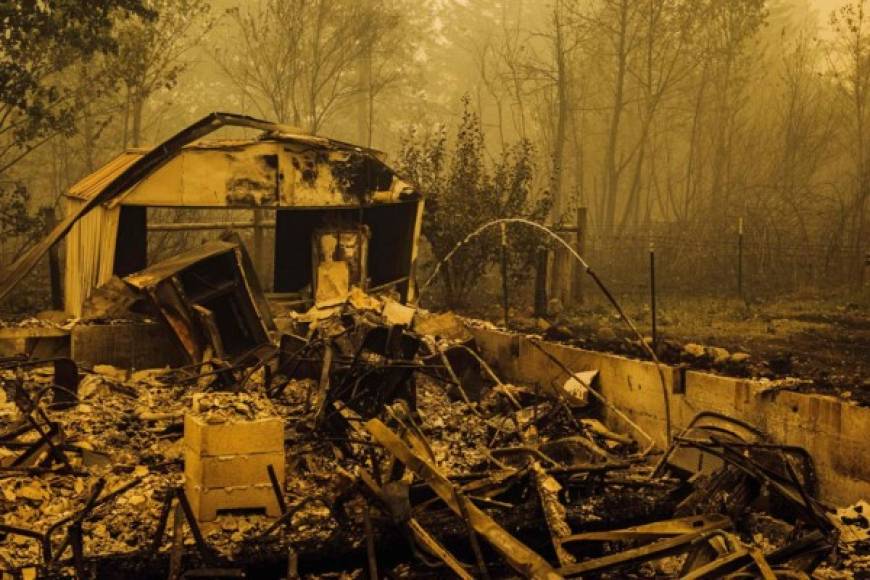 Más de 200.000 hectáreas se quemaron en el estado de Washington, según el gobernador Jay Inslee, quien también denunció las catastróficas consecuencias del calentamiento global. 'Sabemos por qué el suelo se vuelve más seco y sube la temperatura, e incluso el viento aumenta', dijo a periodistas.