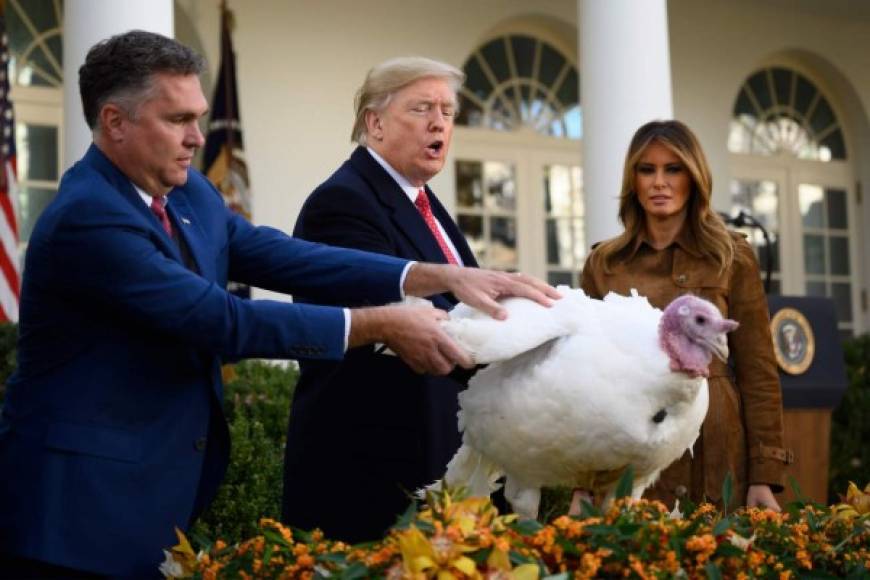US President Donald Trump(C) pardons 'Butter' the turkey during the National Thanksgiving Turkey ceremony in the Rose Garden of the White House in Washington, DC on November 26, 2019, as US First Lady Melania Trump looks on. (Photo by JIM WATSON / AFP)