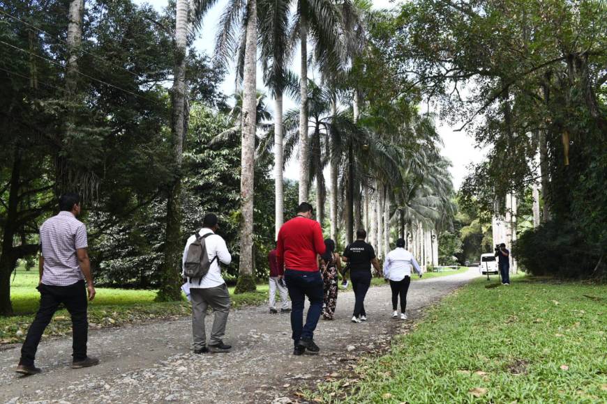 El proyecto “Modernización del Centro de Visitantes del Jardín Botánico Lancetilla” tiene una inversión de un millón setecientos treinta y cuatro mil ocho lempiras (L.1,734,008).