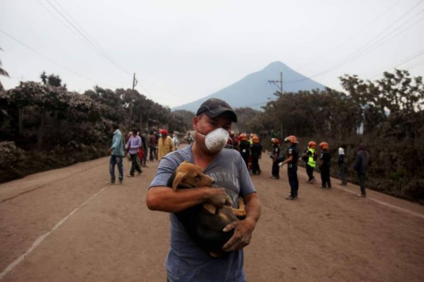 Pobladores rescatan las mascotas que sobrevivieron a la tragedia.