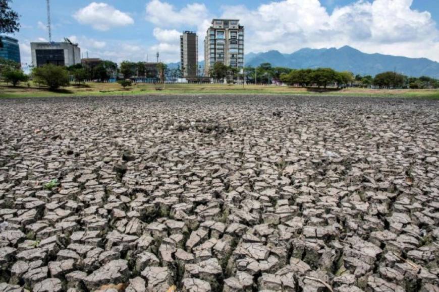 Dos lagos artificiales que adornan los principales parques urbanos de la capital costarricense se han quedado secos y sin la presencia de aves que llegaban a pescar a sus aguas, a causa de la fuerte sequía que afectó al país recientemente.