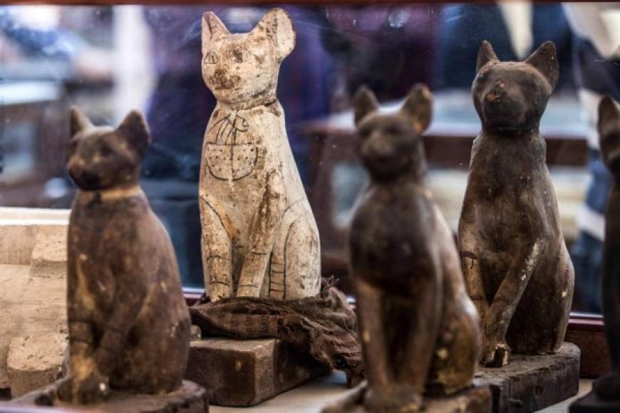 Los felinos eran muy importantes en el Antiguo Egipto, sobre todo los gatos, que eran considerados dioses y la necrópolis de Saqqara era un cementerio para estos animales.
