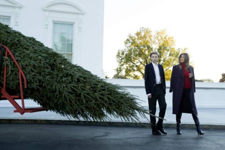 La primera dama y Barron, único hijo que comparte con el presidente, dieron la bienvenida al árbol, cultivado en el estado de Wisconsin, frente al pórtico norte del edificio, adonde llegó cargado en un carro tirado por un caballo. La aparición de Barron causó asombro en la prensa estadounidense, que resaltó la estatura del hijo menor de los Trump, que ya 'alcanza' a su madre.