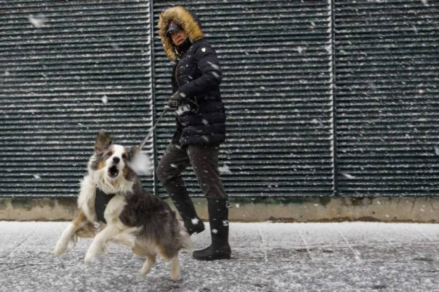 La temperatura cayó a -1ºC, y se pronostican fuertes vientos en la región de hasta 72 km/h que podrían derribar árboles y causar apagones.