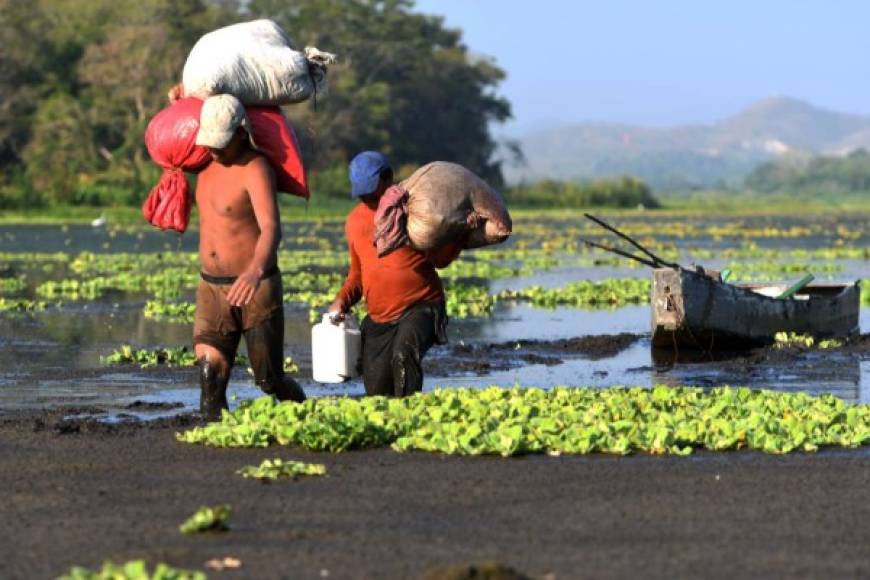 El cambio climático ha hecho que el fenómeno El Niño, causante de sequías, se produzca cada dos años, cuando en décadas anteriores afectaba cada siete años.