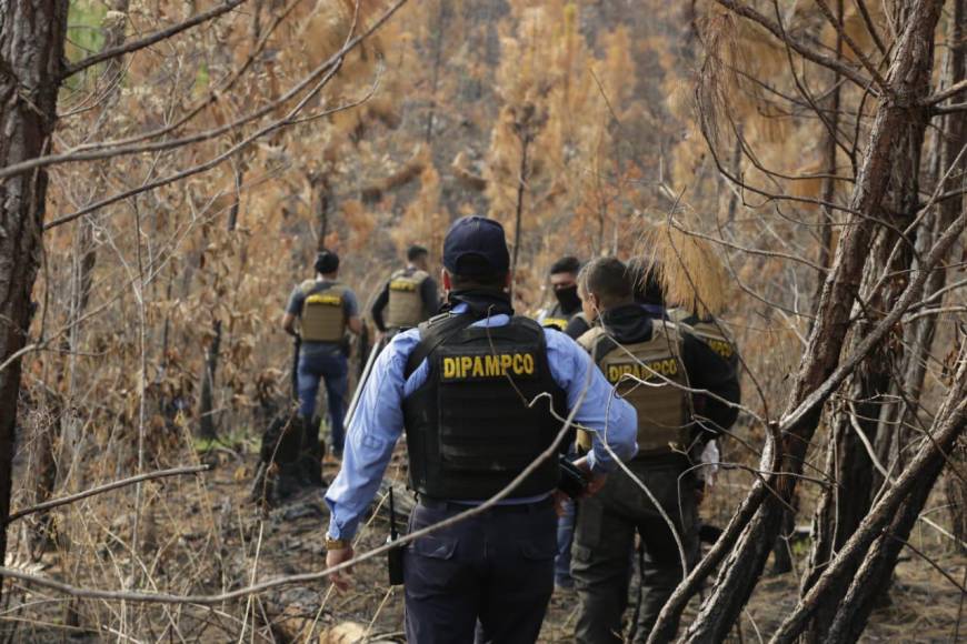 La violencia en Honduras, considerado uno de los países más violentos del mundo, deja un promedio de entre diez y trece asesinatos al día, atribuidos a distintos motivos, según autoridades locales.