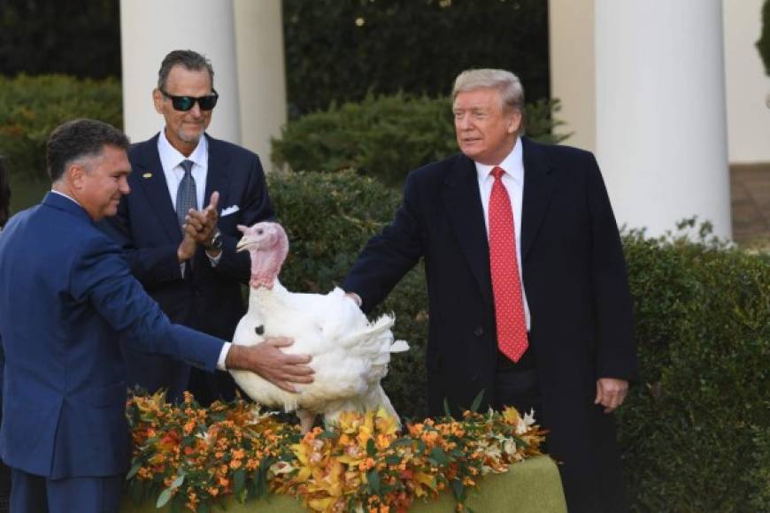 El presidente estadounidense Donald Trump lideró este martes la tradicional ceremonia en la Casa Blanca del indulto de dos pavos por el Día de Acción de Gracias, una oportunidad que el magnate utilizó para burlarse de la oposición demócrata.