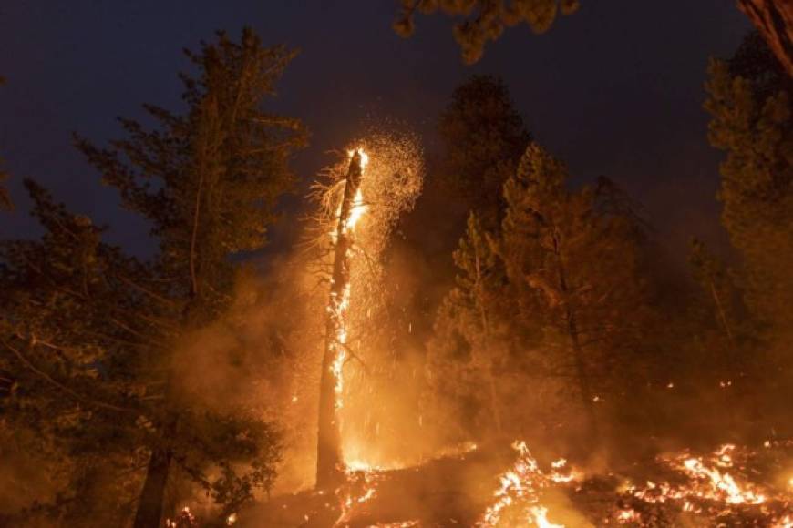 En el noroeste de California, el incendio denominado 'August Complex Fire', que se inició en agosto con una serie de rayos en los bosques de Mendocino, se convirtió oficialmente en el más grande de la historia en este estado, con más de 302,000 hectáreas quemadas.