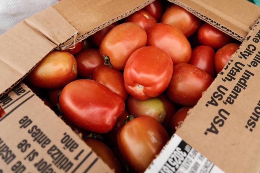 La libra de tomates ha mantenido su precio en relación a la semana pasada. Actualmente se cotiza en L14.