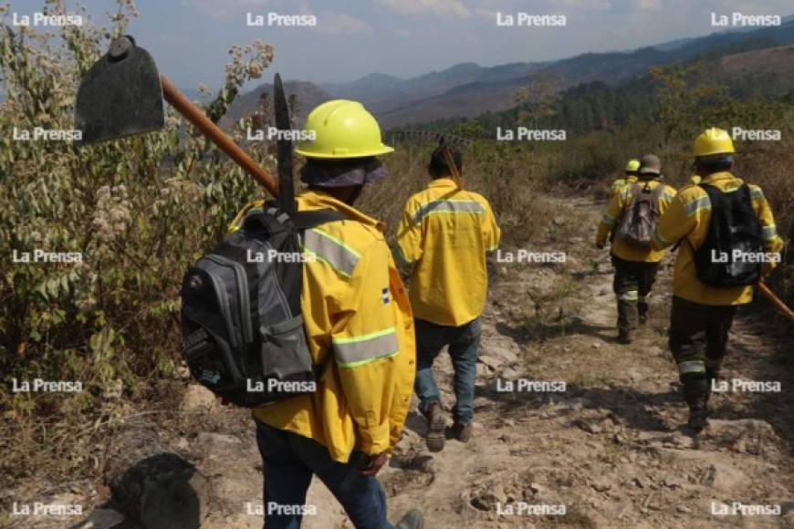 Afortunadamente de momento no se reportan personas fallecidas ni quemadas por los incendios, pero el daño ambiental sí es grave.