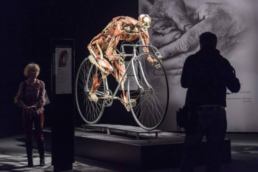 SUIZA. Ejercicio al desnudo. Uno de los cadáveres humanos “plastinados” en la muestra “Mundos Corporales y el Ciclo de la Vida” en Ginebra.