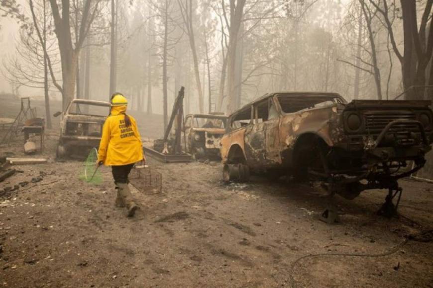 En lo que va de semana, el fuego se ha cobrado al menos 28 vidas, una cifra que las autoridades temen aumentará conforme los equipos de rescate accedan a las grandes áreas arrasadas por las llamas.